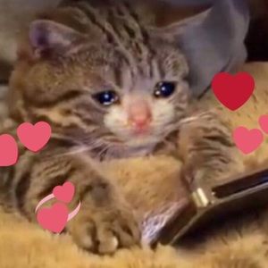 Meet your Posher, Tasha